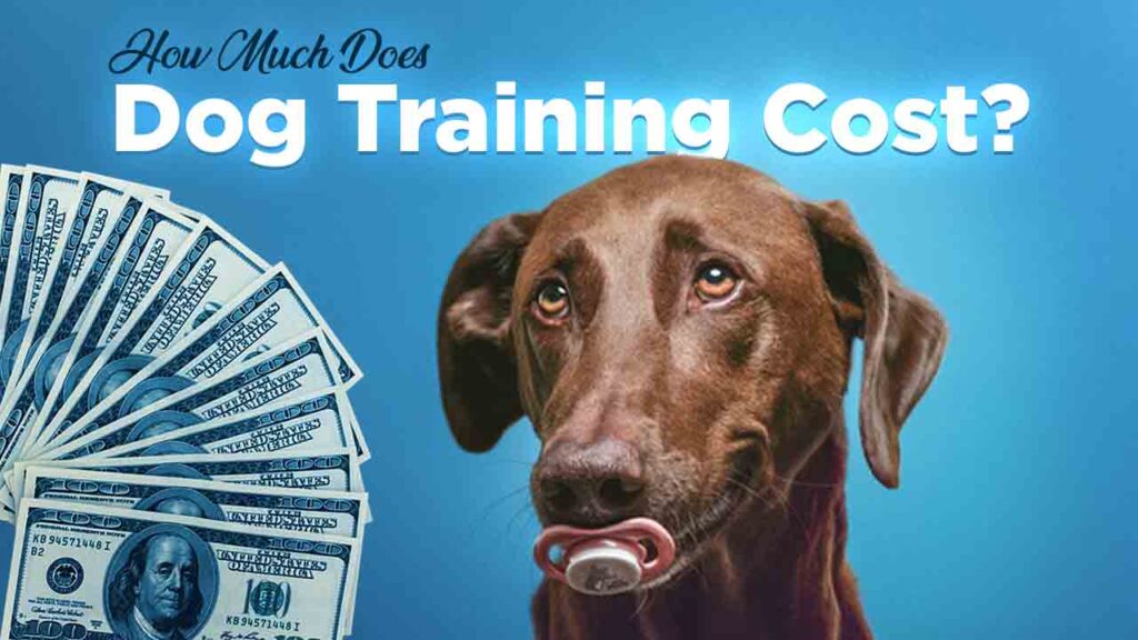 How Much Does Dog Training Cost